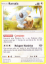 Imagem de Komala - Pokémon TCG