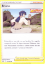Imagem de Bruno - Pokémon TCG