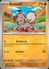 Imagem de Rockruff - Pokémon TCG